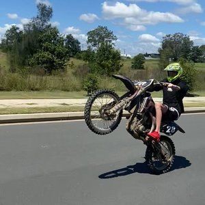 Meet your Posher, Riley